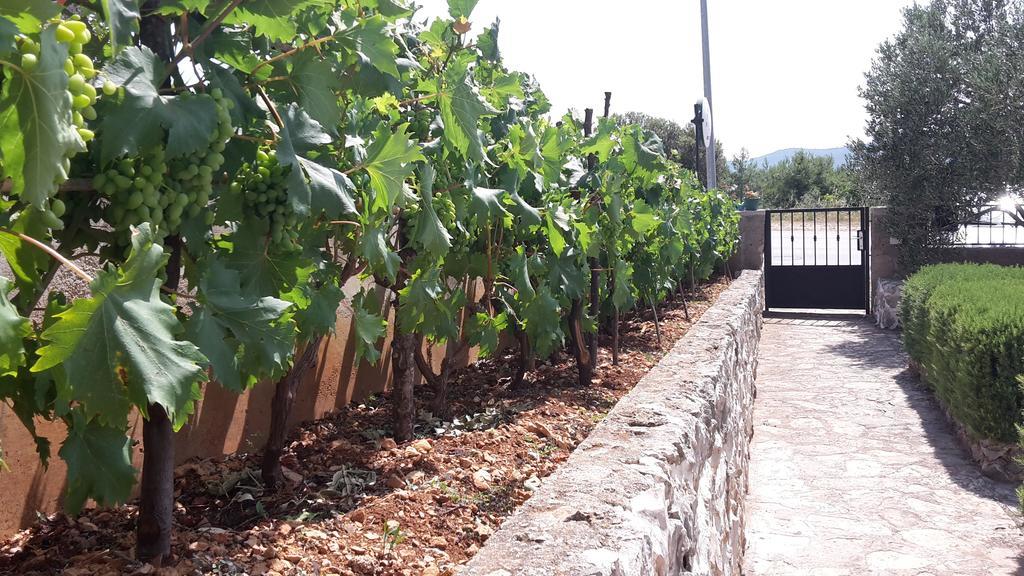 Amadrian Apartments Šibenik Exteriér fotografie